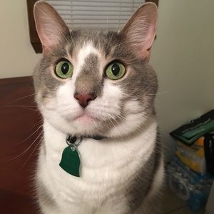 Meet your Posher, Kelley